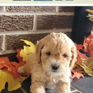 Meet your Posher, Jaida